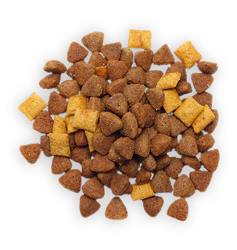 Dog Food 6 Dog Food 6