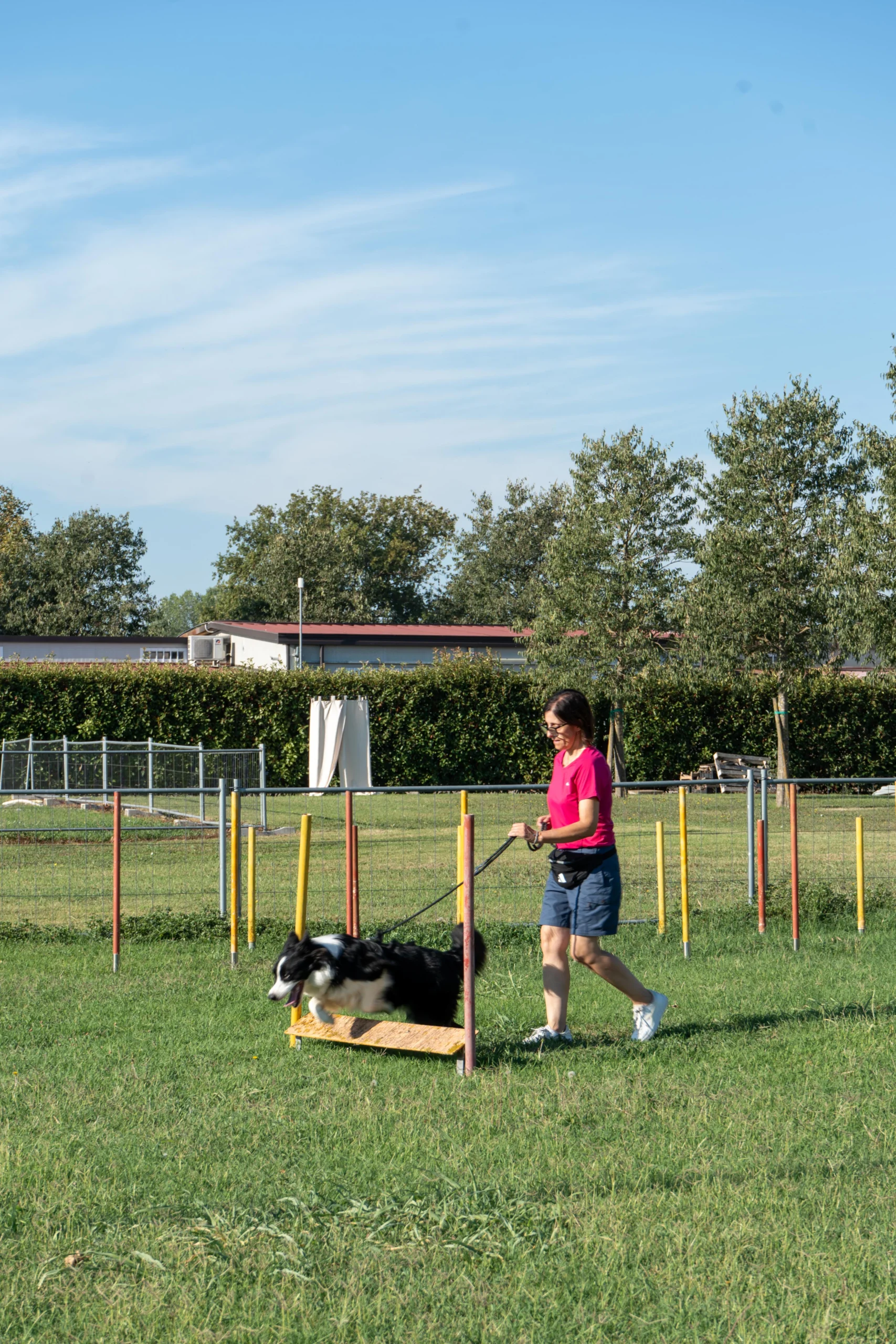 agility 10
