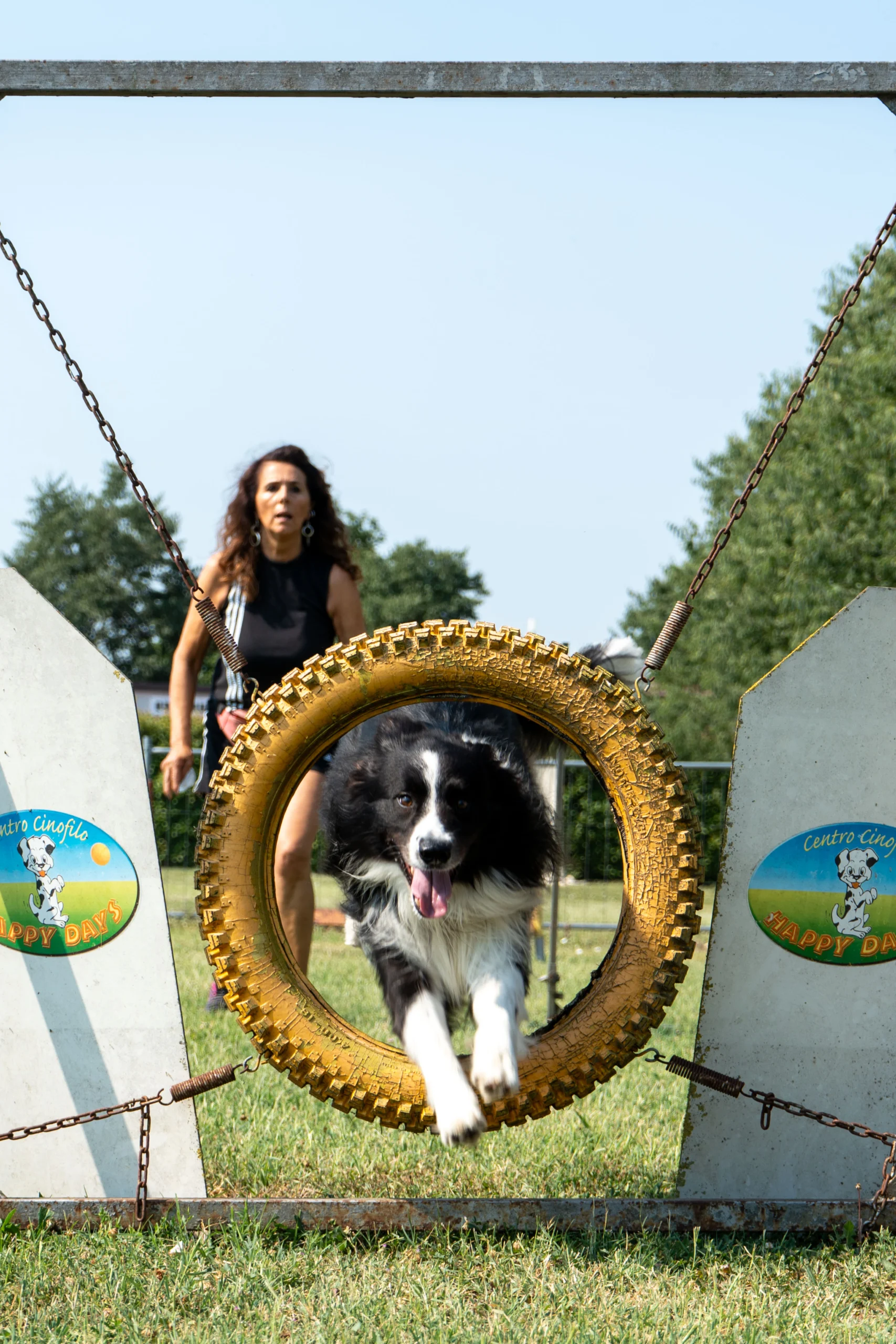 agility 11