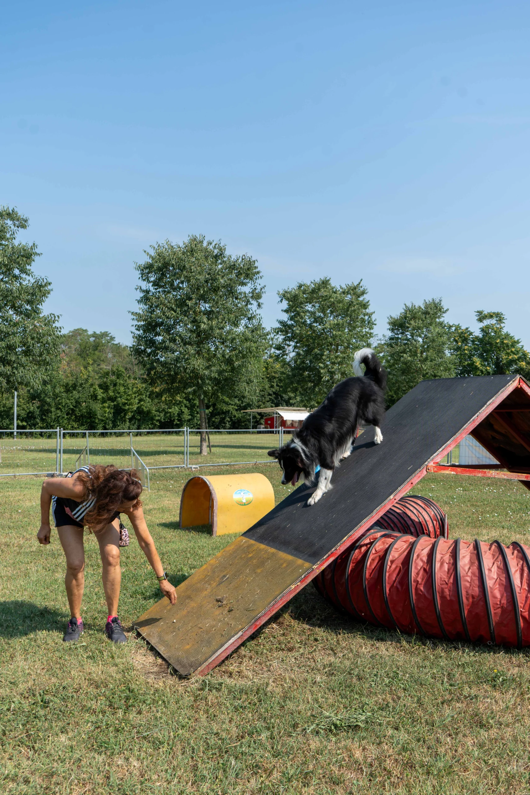 agility 15
