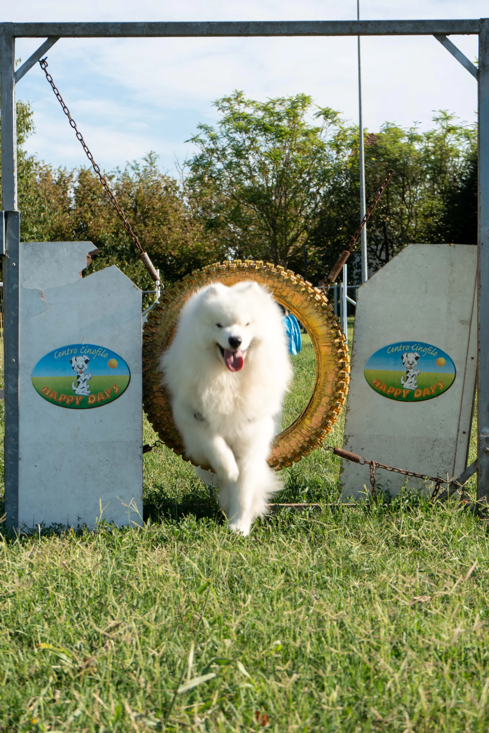 agility 2
